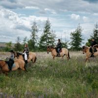 /content/images/pages/1817/zoomi_prirodnii_park__olenii_._fotograf_vladimir_dyakonov.jpg