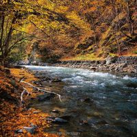/content/images/pages/246/zoomi_cea466b5a898b9705576e2c187e048a4.jpg
