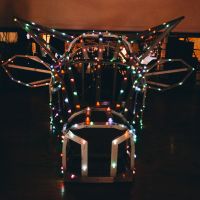 /content/images/pages/281/zoomi_38179600a57c094b41e57ba8039e9e03.jpg