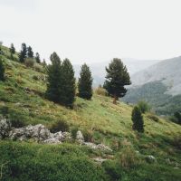 /content/images/pages/491/zoomi_20171121_12.21.08_1.jpg