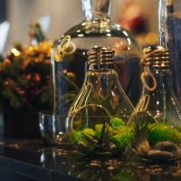 /content/images/pages/501/zoomi_7416.jpg