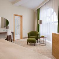 /content/images/pages/501/zoomi_green_resort_horel__spa__standart_double_1.jpg
